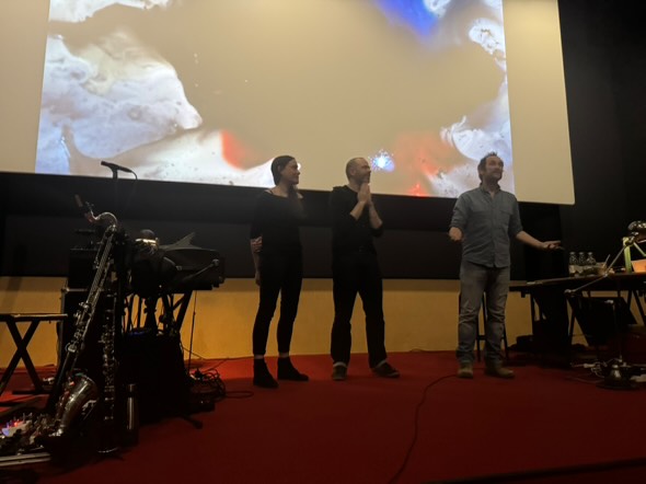 Concert dessiné - Cinéma le Pestel - 16 Janvier 2025