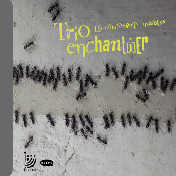 Les Composantes Invisibles 2012